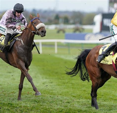 Market Movers – Best Backed Horses Today .